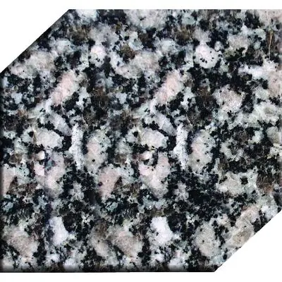 Moonlight Grey granite sample