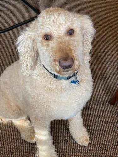 A. Ripepi & Sons Funeral Homes Middleburg Heights, Ohio