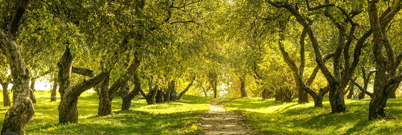 Jeff Monreal Funeral Home Willoughby, Ohio