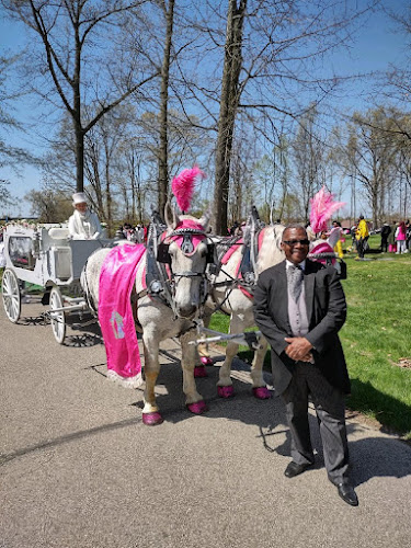 Thomas G Smith Funeral Home Cleveland, Ohio