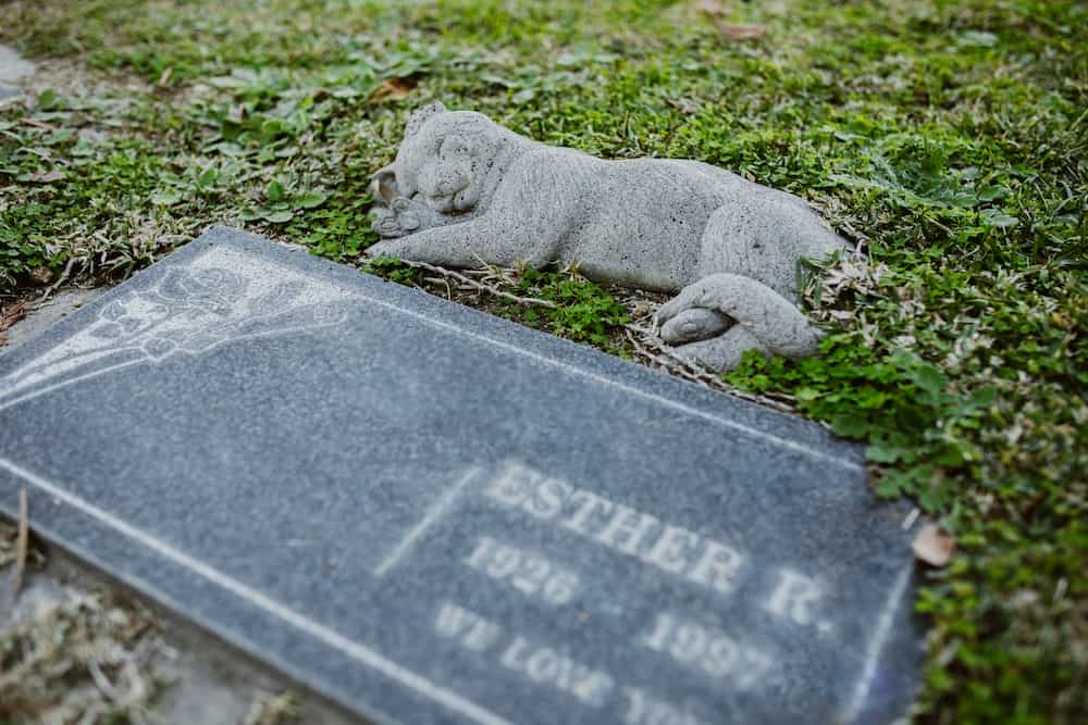 A high-quality single slant monument designed with detailed artwork, representing the professional and caring memorial services of Stoltz Memorials.